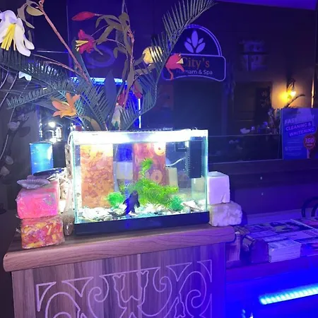 فندق Maximum Hamam كوشاداسيه